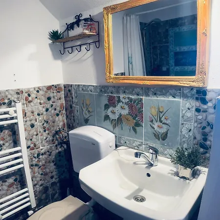 Pensiunea Numero 17 Guest house