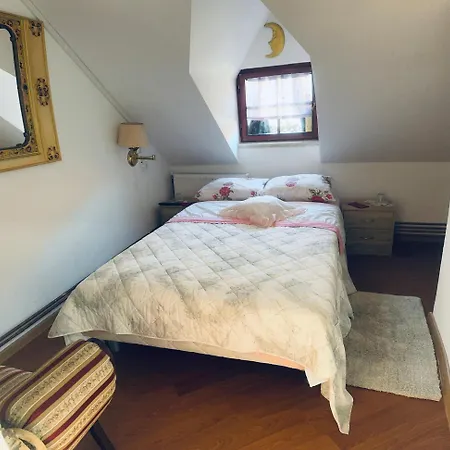 Pensiunea Numero 17 Guest house Ocna Mures